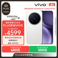 vivo X300 Pro 卫星通信版   16GB+512GB 简单白 蔡司2亿APO超级长焦 蓝图影像双芯 拍照 AI手机