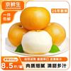 京鲜生 正宗山东莱阳秋月梨 净重8.5斤 单果400g+应季生鲜水果 源头直发