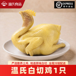 温氏 广东白切鸡散养土鸡正宗白斩鸡加热即食广式特产熟食500g整只