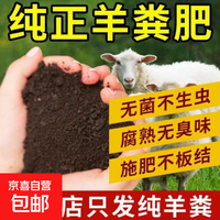 京喜自营-专用品牌 发酵羊粪有机肥绿植花卉果树营养土养花种菜通用型 发酵有机羊粪2斤装