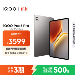 iQOO Pad5 Pro 13.0英寸 Android 平板电脑 (3096*2064‌、天玑 9400+、12GB、256GB、WiFi版、灰晶)