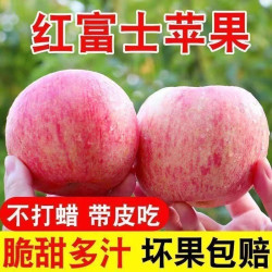 汇果康 新鲜红富士苹果脆甜多汁苹果应季水果脆甜爽口一整箱