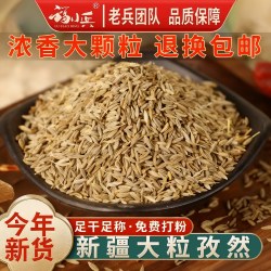 福小兵 孜然 500g 散装