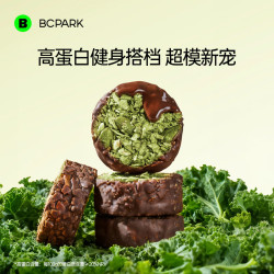 碧翠园 羽衣甘蓝生巧坚果燕麦脆饼干100g高蛋白早餐代餐巧克力轻食零食