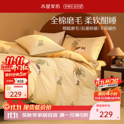 水星家纺 床上四件套 亲肤保暖磨毛 秋冬保暖吸湿发热 被套床单枕套 风吟 1.8米床 床单款 （被套220*240cm）