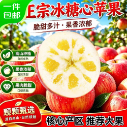 京觅 甘肃大漠冰糖心苹果净重8.5斤装 大果190g+新鲜水果源头直发