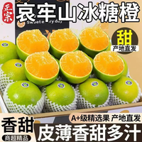 云南哀牢山 冰糖橙 4.5斤装 18-22个