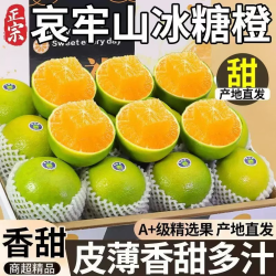 云南哀牢山 冰糖橙 4.5斤装 18-22个