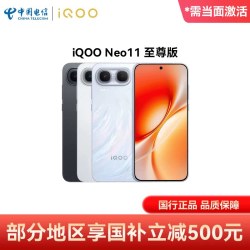 vivo iQOO Neo11至尊版 手机 12GB+512GB 乘风