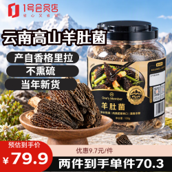 1号会员店 大羊肚菌100g 菇云南高山5-8cm 去柄去泥煲汤火锅食材