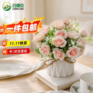 吕姆克 仿真花假花盆栽干花花束陶瓷花瓶客厅装饰摆件粉色20cm套装5982