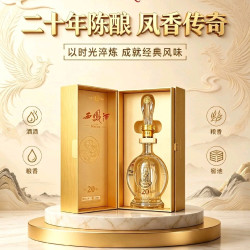 西凤酒 酒海窖龄20年 45/52度 凤香型白酒 500ml*2盒