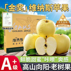 秦悦仙果鲜 正宗山东黄金维纳斯苹果 5斤精选装【单果140g+】净4.5斤 【万里挑一】30年老树果