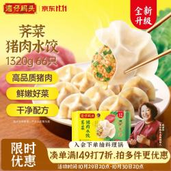 湾仔码头 白菜三鲜猪肉水饺 66只 1.32kg