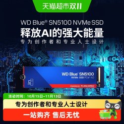 闪迪 SN5100 NVMe PCle4.0 SSD固态硬盘