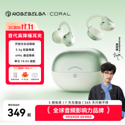 弱水时砂 珊瑚 主动降噪 茵绿 蓝牙耳机