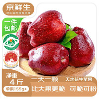 京鲜生 甘肃天水花牛苹果 净重4斤 单枚155g+ 生鲜水果源头直发