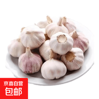 京喜 京东紫白皮蒜蔬菜调料烧烤食材火锅食材大蒜 新干蒜1斤装500g果径【4-5cm]