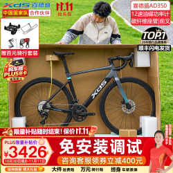 喜德盛 AD350公路车自行车成人功率计油碟碳纤维前叉ad350 鸽子灰  450mm 推荐身高150~165cm 全内走破风车架|功率计|油压碟刹