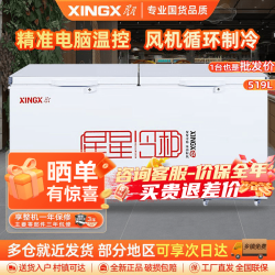 星星 BD/BC-519E 商用冰柜 厨房商用保鲜设备
