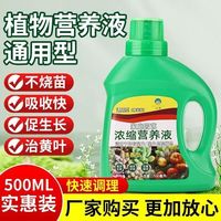 绿植盆栽浓缩植物营养液 500mg：3瓶装