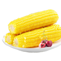 农垦雁窝岛 农垦！东北精选黄糯甜玉米250g*3支