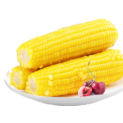 农垦雁窝岛 农垦！东北精选黄糯甜玉米250g*3支