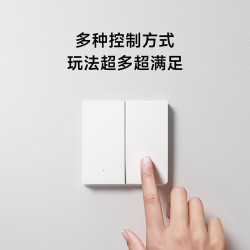 小米 双开无线开关
