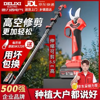 德力西 电气电动剪刀果树高空修枝剪充电式伸缩杆修枝剪树剪刀园艺剪锂电剪刀 2.0单电标配