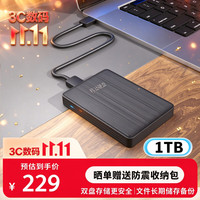 黑甲虫 双盘备份 移动硬盘  商务黑 1TB