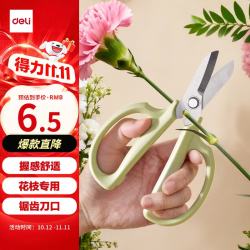 得力 TJ52 直刃园艺剪刀 165mm 绿色