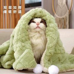 瓜洲牧 宠物毛毯猫毯子S-35*50cm