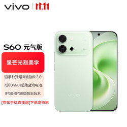 vivo S60元气版 4K原生感Live 湿手秒开超声波指纹2.0 5G手机 初夏绿 12GB+512GB