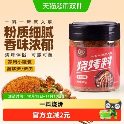 翠宏 烧烤料100g 香辣风味自制烤兔涮羊牛肉烤翅腌撒料干料