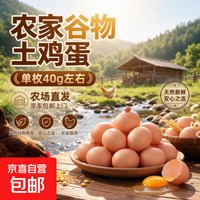 京喜 京东包邮山林散养谷物鸡蛋新鲜土鸡蛋柴鸡蛋现捡现发单枚40g左右 土鸡蛋8枚