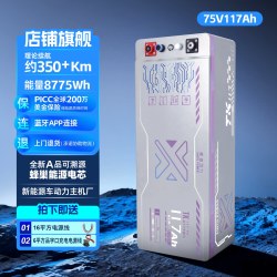 新途动力75V117AH电动车电池xintupower蓝牙款（赠天猫养车大会员年卡+充电线）
