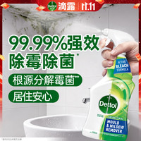 滴露 除霉喷雾除霉除菌剂去霉斑 墙面洗衣机冰箱胶圈除霉清洁杀菌去垢 除霉喷雾500ml