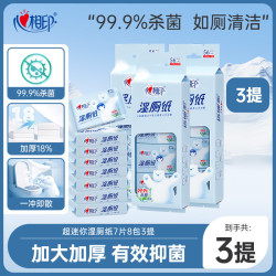 心相印 湿厕纸 99.9%杀菌湿巾卫生湿手纸 迷你便携深层温和杀菌湿纸巾 7片*24包 双重植萃精华