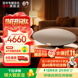 宝华韦健 Zeppelin Pro 6代 蓝牙音箱  太空灰