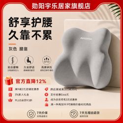 勋阳宇乐 【学生党】记忆棉护腰垫 腰靠款灰