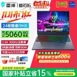 雷神 猎刃16 i9-13900HX 16G 1TB RTX5060 2.5K 300Hz 灰色