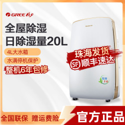 格力 除湿机家立式用抽湿机抽湿器吸湿器干衣除湿器地下室DH20EH