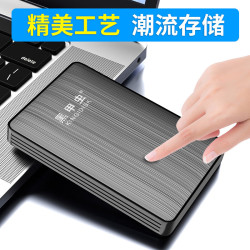 黑甲虫 双盘备份 移动硬盘  商务黑 1TB