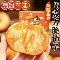 叠火 山西阳丰甜脆柿子现摘新鲜水果巧克力甜柿子树熟脆柿子