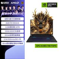 机械革命 苍龙18Pro 18英寸大屏游戏本 深渊黑（R9-9955HX、RTX5070、2.5K 180Hz、16G、1T SSD）