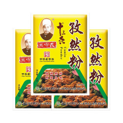 王守义 40克孜然粉*3 烧烤蘸料炖肉火锅炒菜去腥增香中华调味料