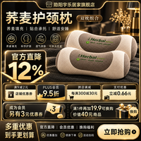 勋阳宇乐 【牵引舒缓】A类荞麦枕 米白 一对装