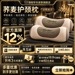 勋阳宇乐 【牵引舒缓】A类荞麦枕 米白 一对装