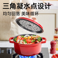 炊大皇 珐琅锅铸铁锅 24cm