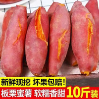 树奢 板栗蜜薯10斤红薯西瓜红沙地蜜薯软糯小香薯 红薯  带箱9-10斤大果 精选装